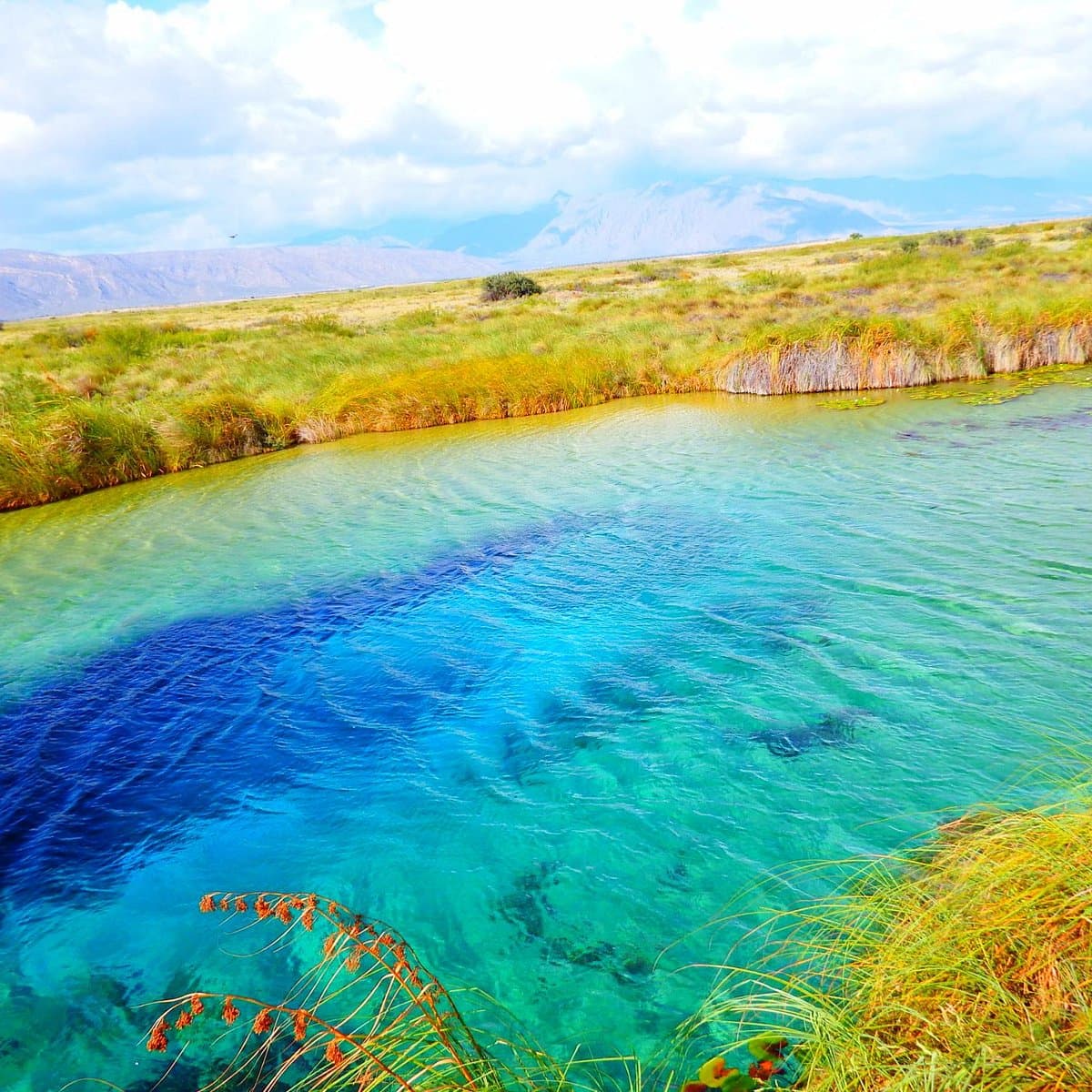 Visita las pozas azules en Coahuila: una aventura inolvidable