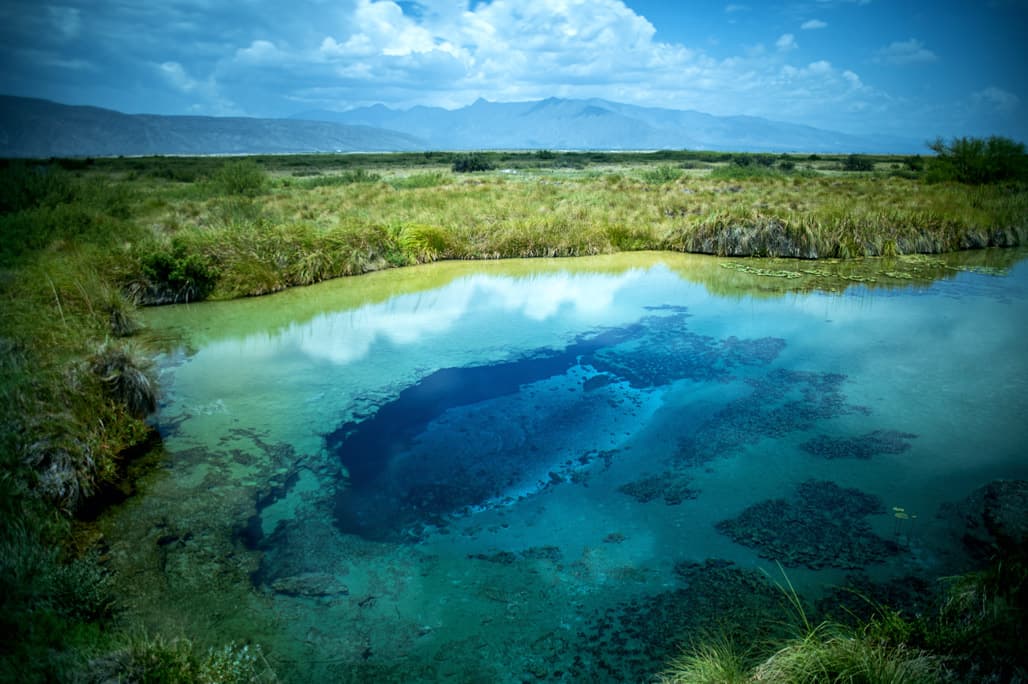 Los microecosistemas de Cuatro Ciénegas: lagunas vivas desde la era prehistórica