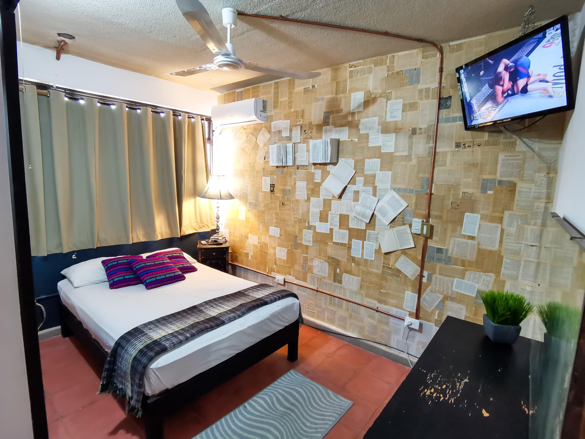 Estandar Sencilla imagen 2