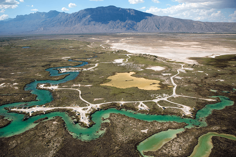 Datos Curiosos de Cuatro Ciénegas, Coahuila: Un Destino Sorprendente